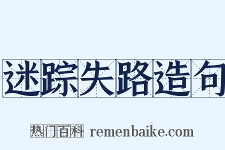 迷踪失路造句是什么意思的图片